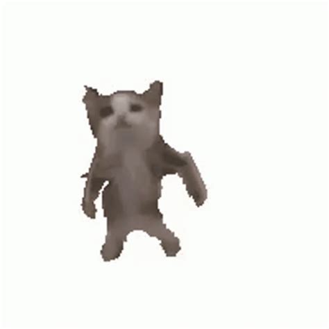 dancing cat meme gif